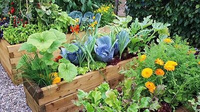 Orto-giardino: ecco come creare un’armonia di fiori e verdure