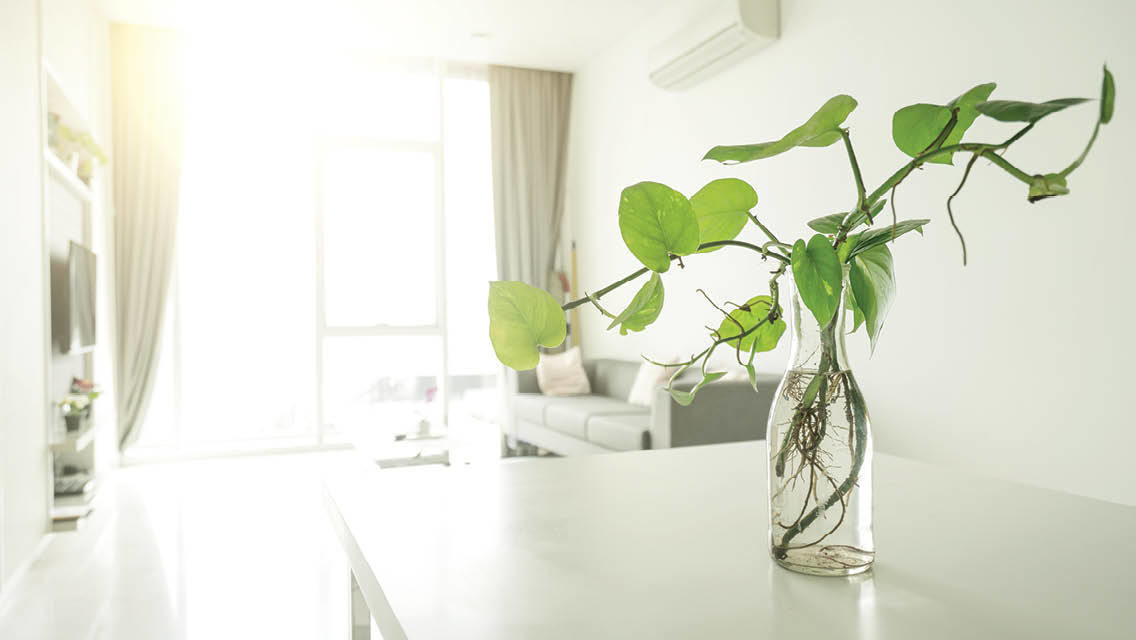 Salubrità degli ambienti: la formazione sul gas radon