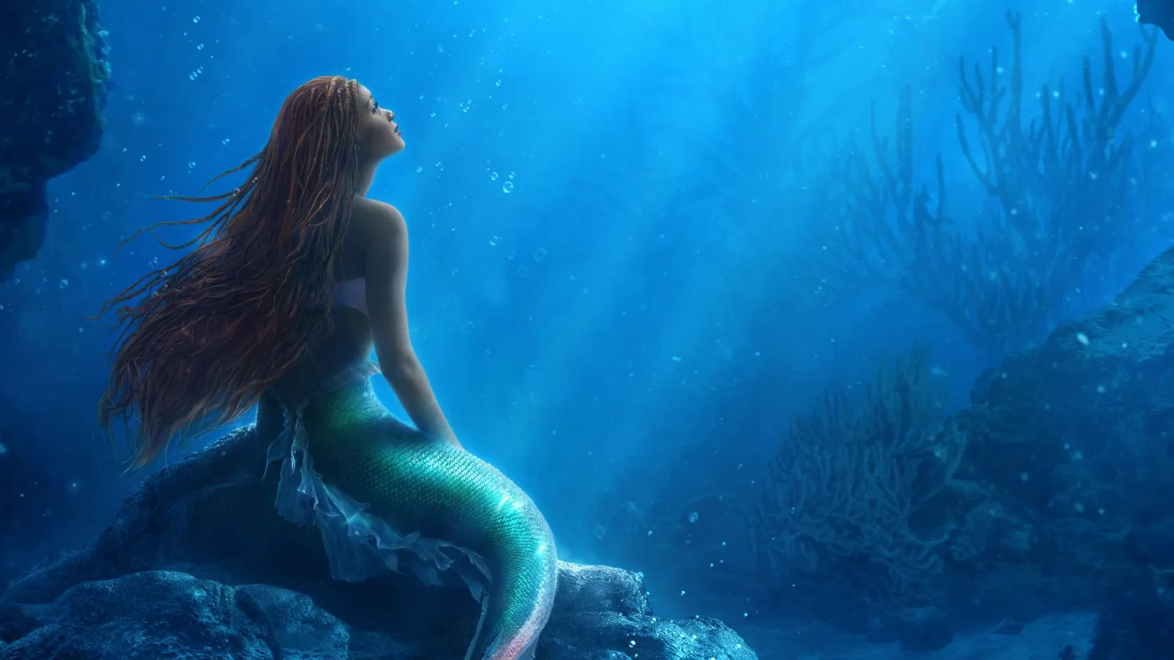 La Sirenetta: l’esordio al box-office negli USA è positivo, negli altri Paesi no