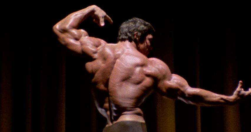 Arnold, la recensione