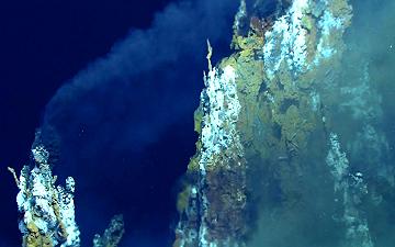 Gli straordinari batteri magnetici nelle profondità marine