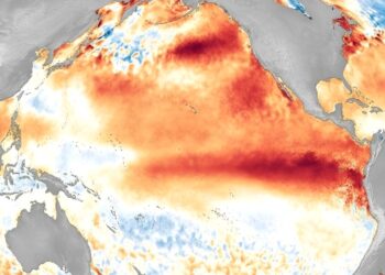 El Niño fa il suo ritorno: l'annuncio ufficiale della Noaa