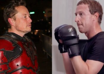 Le probabilità che l'incontro di MMA tra Musk e Zuckerberg avvenga sono bassissime, confessa quest'ultimo