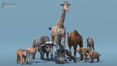 Giganti perduti: nuovo studio sul declino della megafauna africana