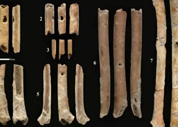 Strumenti a fiato risalenti a 12 mila anni fa: nuova scoperta nel Vicino Oriente