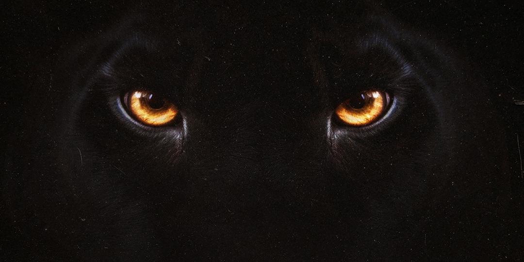 Diabolik – Chi sei? Il teaser poster rivela la data d’uscita