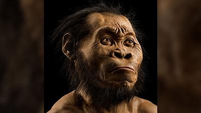 Gli Homo naledi seppellivano i loro morti almeno 100.000 anni prima di noi H. sapiens
