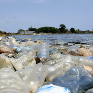 Bicchieri di carta, inquinano quanto quelli di plastica