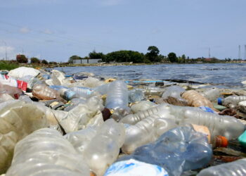 Plastic Pollution: An Issue Requiring Parliament's Attention