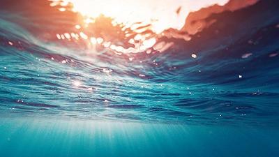 Mare: inizia il viaggio educativo “Possea verso Seif” sul plancton
