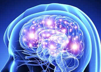 Neuroplasticità: la straordinaria flessibilità del cervello umano
