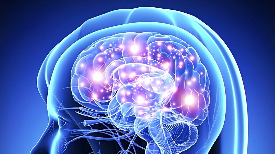 Neuroplasticità: la straordinaria flessibilità del cervello umano