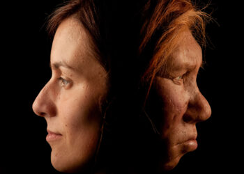 Effetti persistenti del DNA di Neanderthal riscontrati negli esseri umani moderni