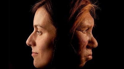 Effetti persistenti del DNA di Neanderthal riscontrati negli esseri umani moderni