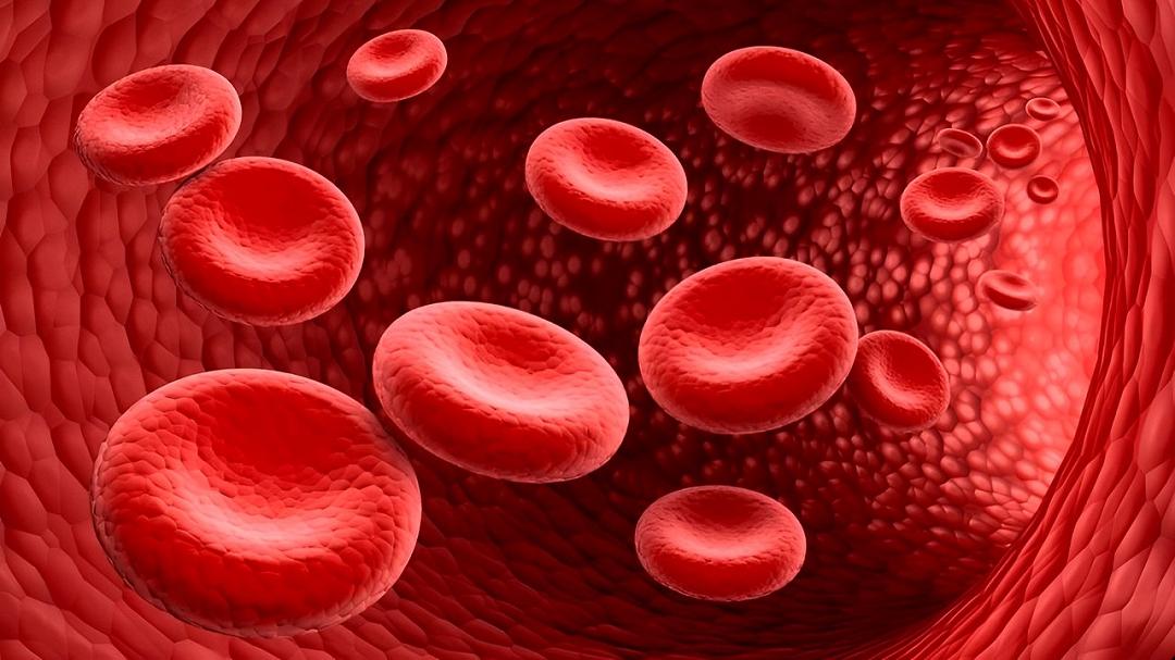 Beta-talassemia: lo scenario attuale in Italia