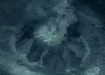Borealis Mud: scoperto un vulcano sottomarino nel Mare di Barents