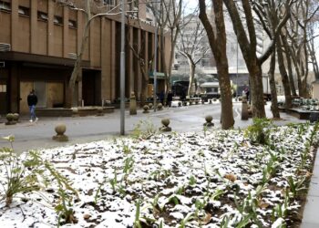 Neve a Johannesburg: la prima dopo oltre un decennio