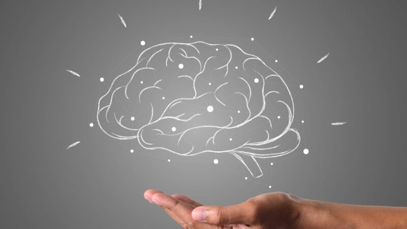 Alzheimer, una proteina nel sangue ne rivela la tempistica