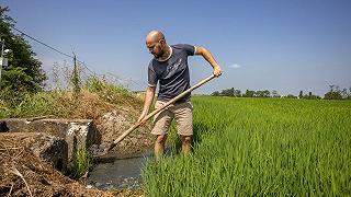 Crisi climatica: gli eventi estremi riducono drasticamente la produzione agricola italiana