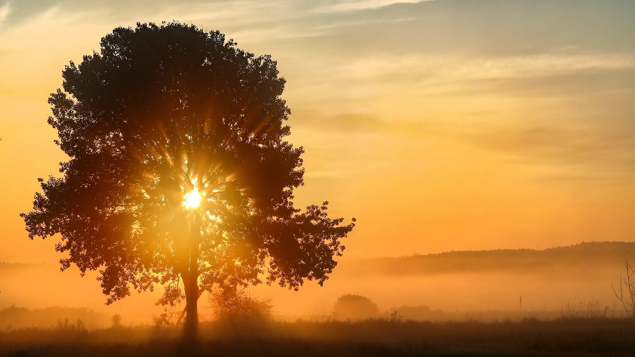 Durata del giorno sulla Terra: un tempo era più breve di 20 ore