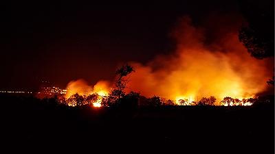 Incendi estivi: nuovo vademecum per la sicurezza ambientale