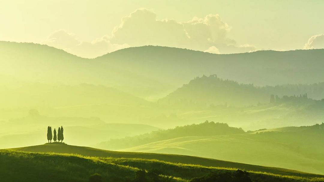 Cambiamento climatico: gli obiettivi della nuova legge europea sul ripristino della natura