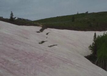 Montagne dello Utah: come si spiega il fenomeno della neve rosa?