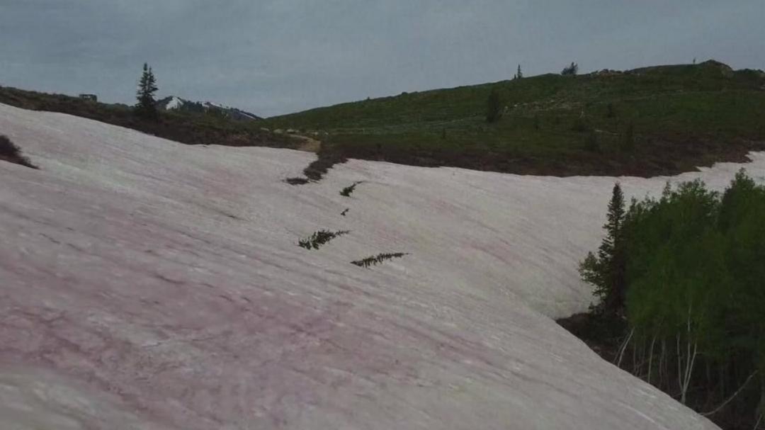 Montagne dello Utah: come si spiega il fenomeno della neve rosa?