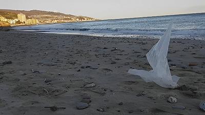 Plastica: una minaccia per gli uccelli marini del Mediterraneo