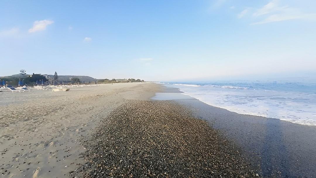 Pulci di mare: fastidiose, ma poco rischiose secondo l’allergologa