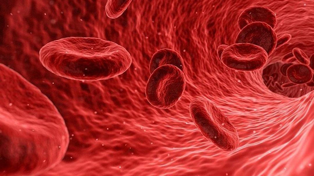 Trapianti di midollo: nuova scoperta sulle iniezioni di mRNA