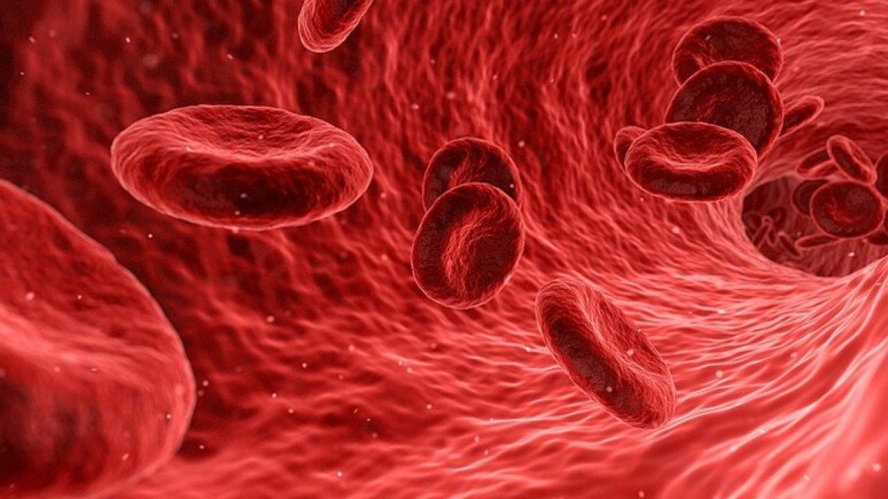 Trapianti di midollo: nuova scoperta sulle iniezioni di mRNA