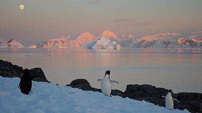 Emergenza climatica in Antartide: l’urgenza di un’azione per salvaguardare gli ecosistemi