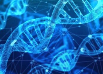 Variante genetica umana nel Dna controlla Hiv: nuova scoperta