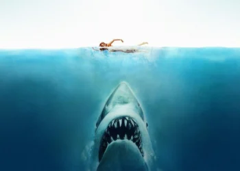 Lo Squalo: la storia vera da cui sono nati il film ed il terrore per gli squali