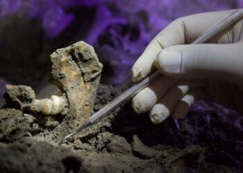DNA antico rivela la vita nel Sud Italia 6.000 anni fa