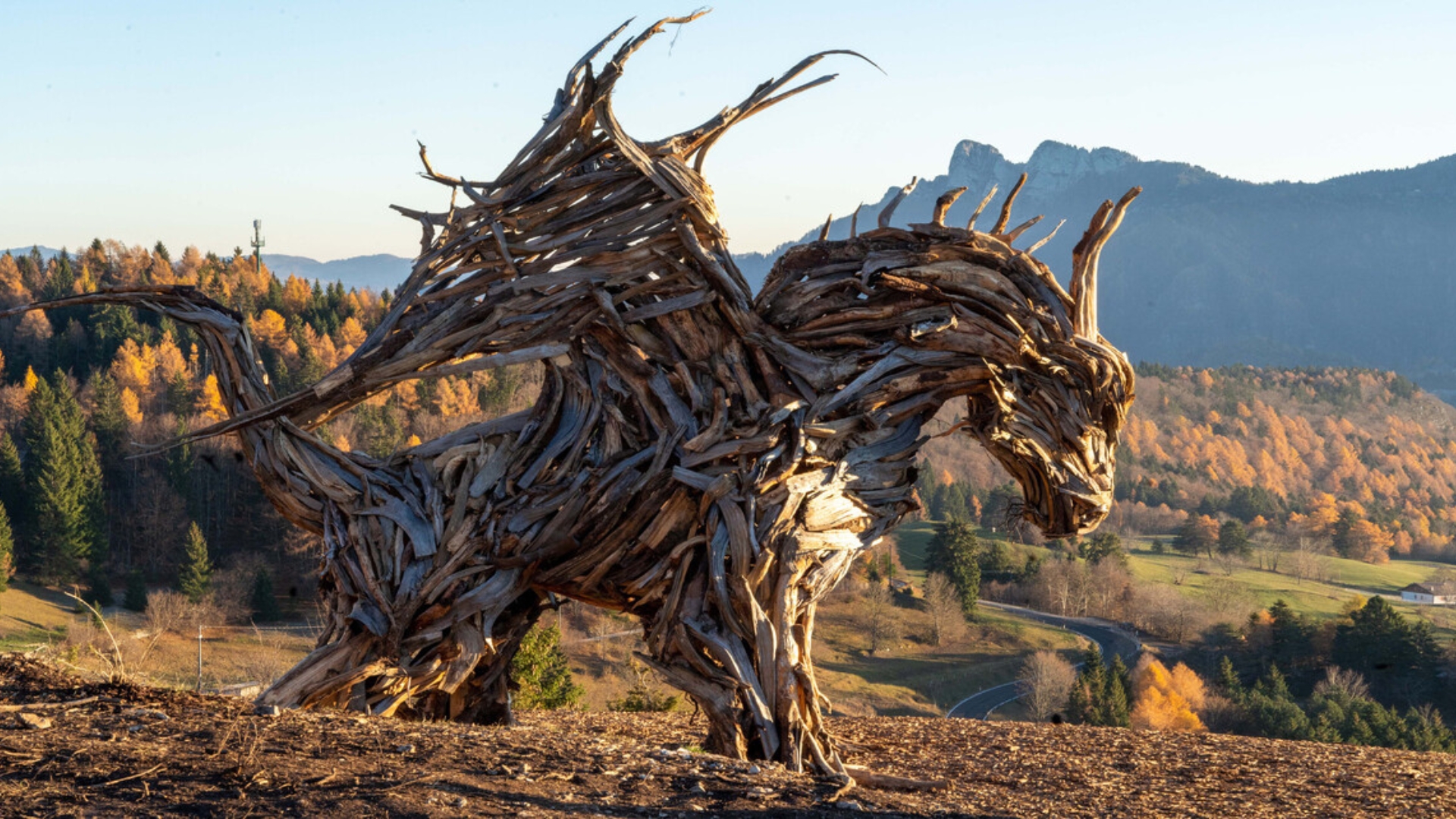 Il Drago Vaia in fiamme: il sindaco apre una raccolta fondi per ricostruirlo