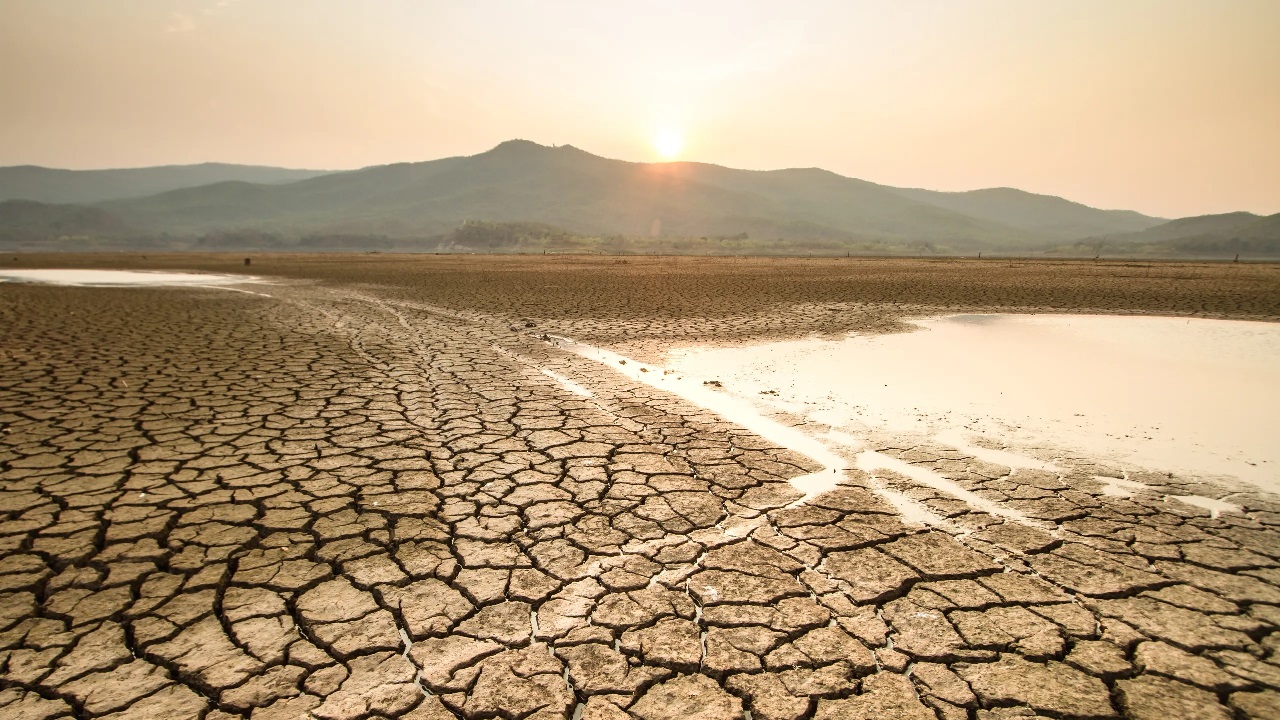 Crisi climatica e salute mentale: l’ecoansia come disagio psicologico