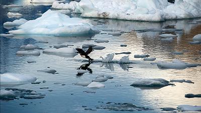 Ambiente: nuovi ecosistemi potrebbero rimpiazzare i ghiacciai entro il 2100