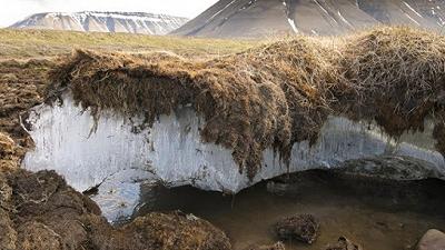 Risvegliando il passato: lo scioglimento del Permafrost che riporta a galla antichi patogeni