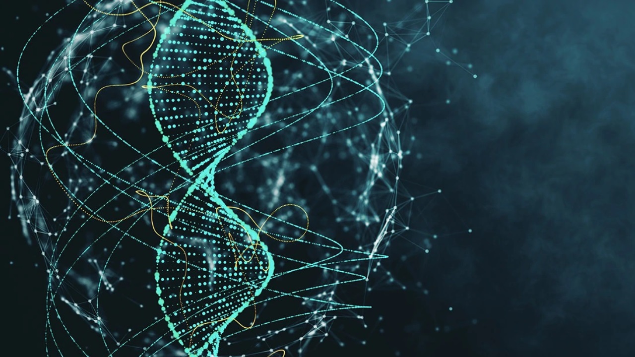 DNA del cromosoma Y: annunciato il completamento della prima mappa