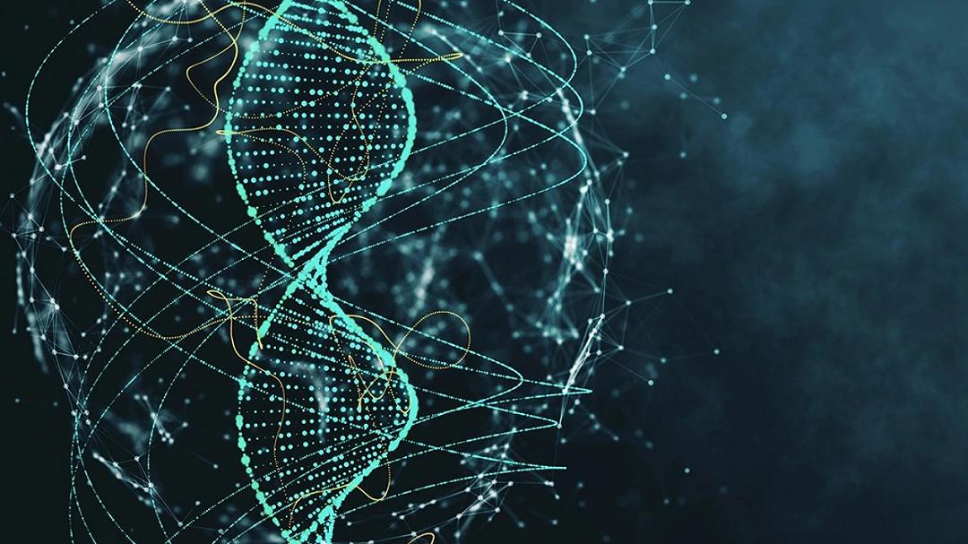 DNA del cromosoma Y: annunciato il completamento della prima mappa