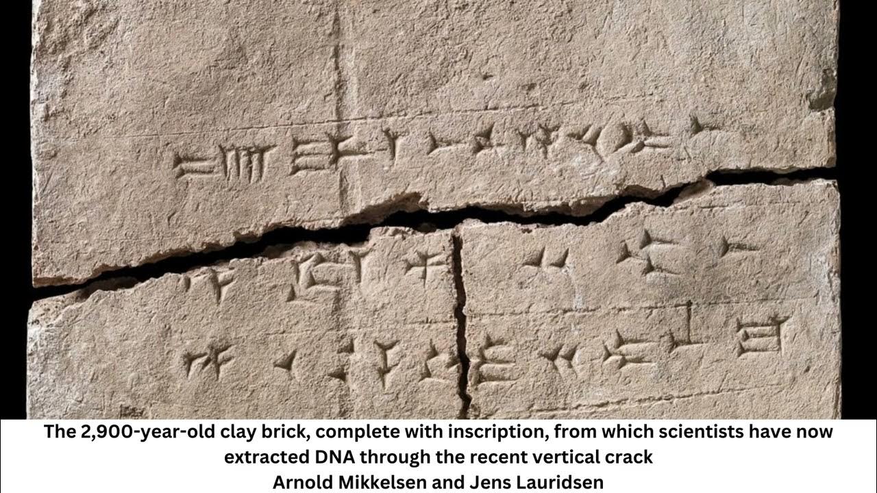 Gli scienziati trovano un antico DNA in un mattone: quali segreti nasconde?