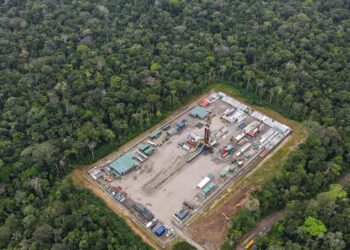 Petrolio nella foresta amazzonica: l'Ecuador vota lo stop all'estrazione nel Parco Nazionale Yasuní
