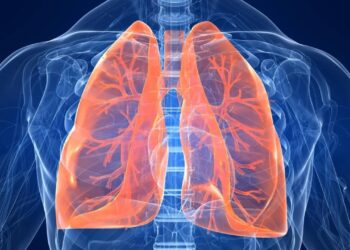 Organoide dei polmoni umani: studio delle potenziali terapie