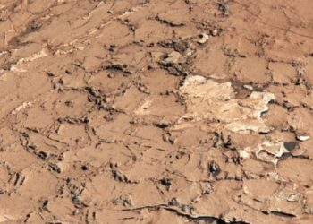 Marte: crepe esagonali fanno pensare che ci fossero forme di vita nel passato remoto