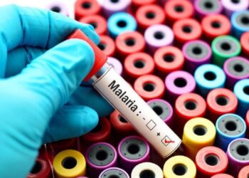 Malaria: un nuovo vaccino è in fase di sperimentazione