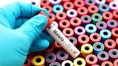 Malaria: un nuovo vaccino è in fase di sperimentazione