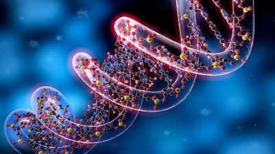 DNA mitocondriale: ecco perché è ereditato esclusivamente dalla madre