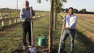 Bosco di 62.000 metri quadrati: iniziativa green di Clai a Imola